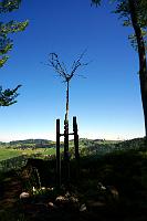  18. Mai 2013 - ein Bilderbuchsamstag